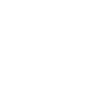 Delhi Capitals